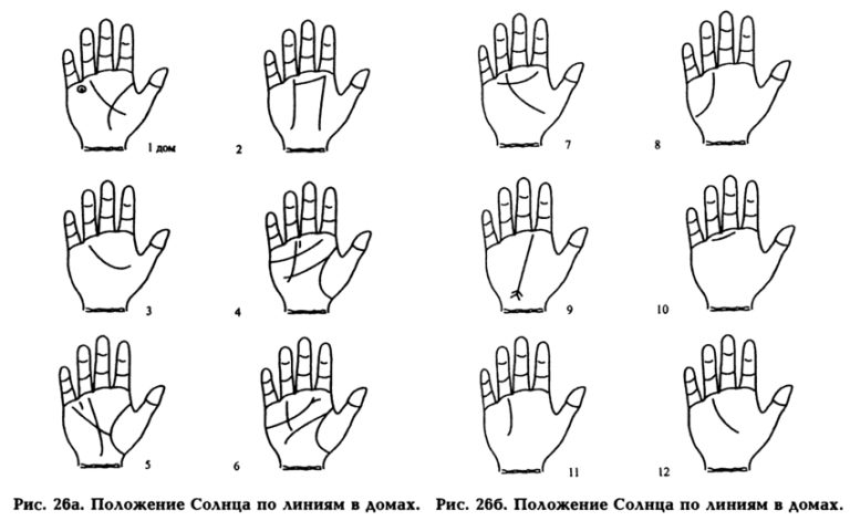 Северная рук. Линия рук команды на дереве. Положение 266.